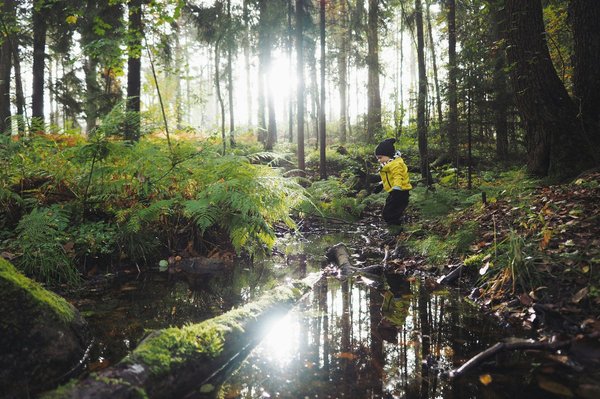 Les meilleures destinations pour les escapades en ville en 2024