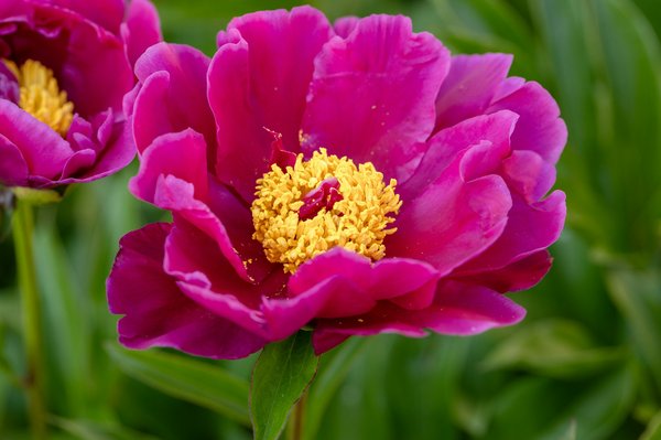 Les 10 commandements du voyageur éco-responsable